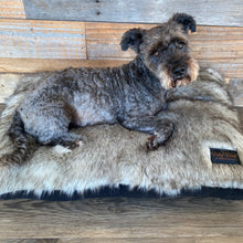 Load image into Gallery viewer, Faux Fur Dark Grey Luxury Lounge Snuggle Cushion Design