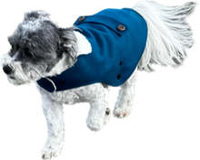 Load image into Gallery viewer, Animal Outfitters  Moody Blue Windsor Dog Coat