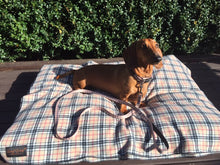 Load image into Gallery viewer, Burberry Style Collar & Lead