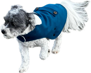Animal Outfitters  Moody Blue Windsor Dog Coat
