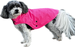 Animal Outfitters Dog Raincoat Pink