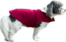 Load image into Gallery viewer, Animal Outfitters Raspberry Paddington Dog Coat
