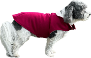 Animal Outfitters Raspberry Paddington Dog Coat