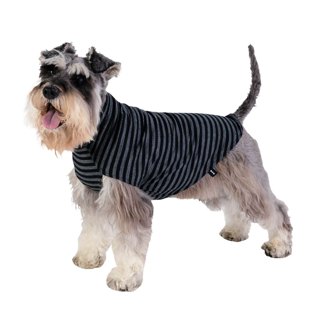 Animal Outfitters Alpine Black Stripe Merino Dog Sweater