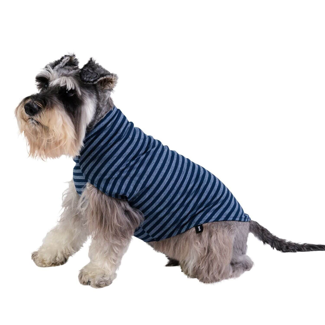 Animal Outfitters Alpine Blue Stripe Merino Dog Sweater