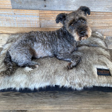 Load image into Gallery viewer, Faux Fur Luxury Ice Grey ,Lounge Snuggle Cushion Design
